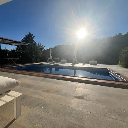 Estudio Nuevo Zen